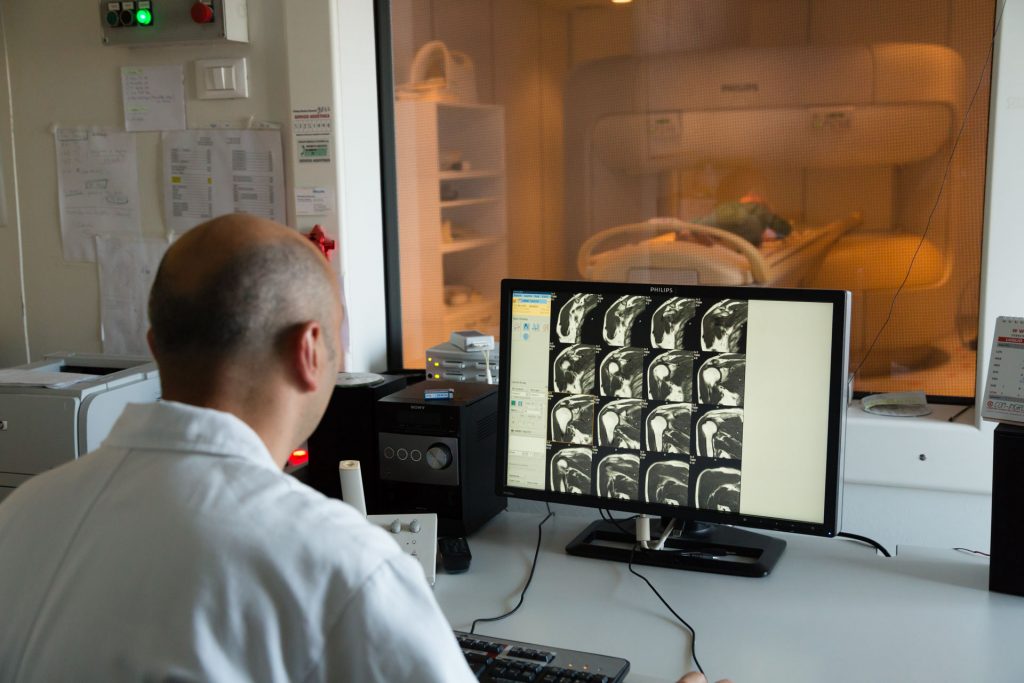 Radiografia Gemini RX