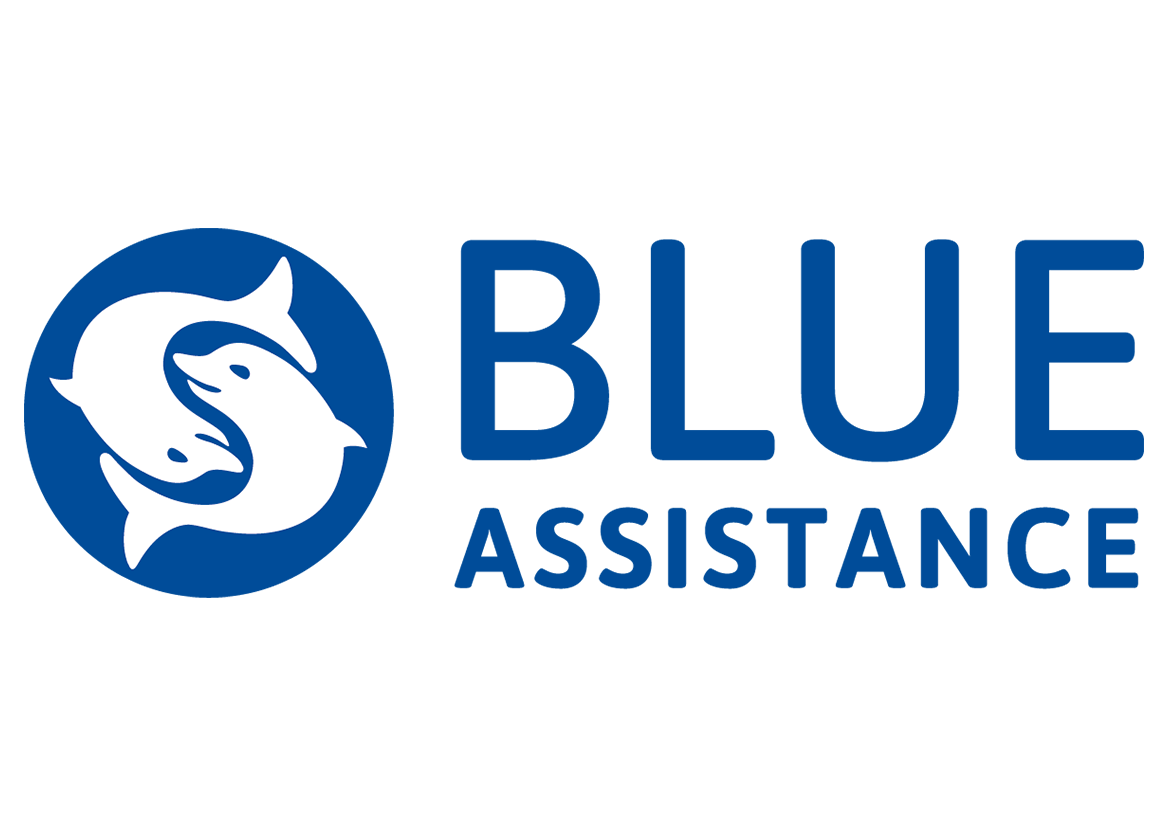 Logo blue